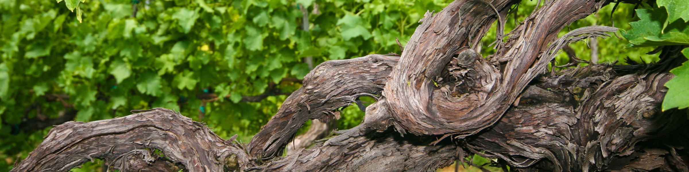 ブログのイメージ画像2