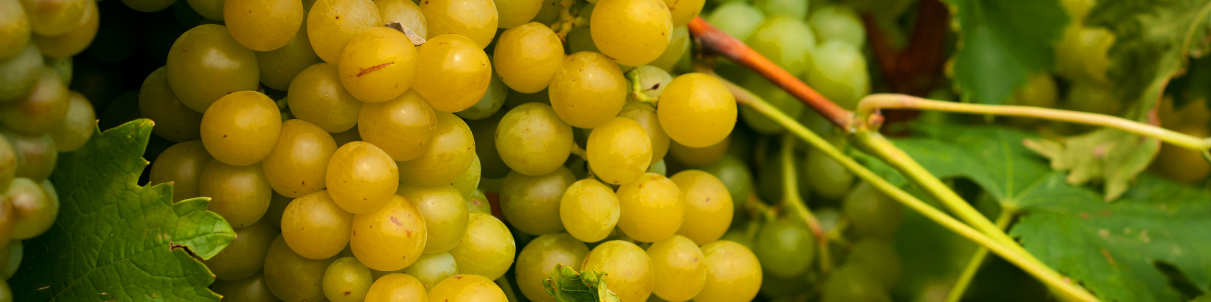 ブログのイメージ画像3